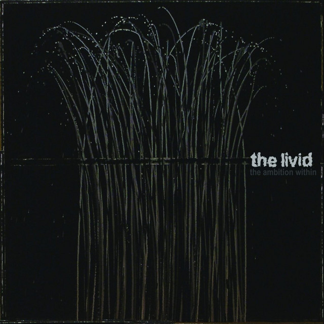 The Tide